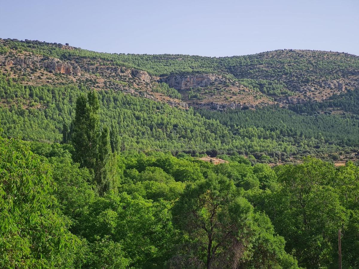 Casas Rurales Los Enebros Nerpio Bagian luar foto