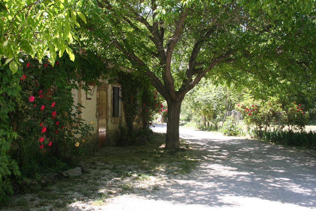 Casas Rurales Los Enebros Nerpio Bagian luar foto