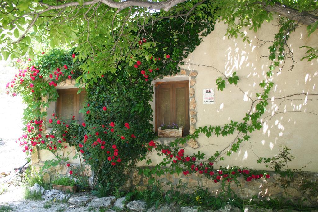 Casas Rurales Los Enebros Nerpio Bagian luar foto