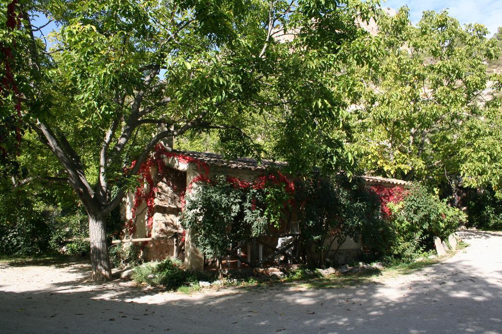 Casas Rurales Los Enebros Nerpio Bagian luar foto